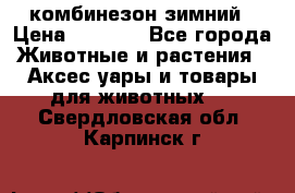 комбинезон зимний › Цена ­ 1 300 - Все города Животные и растения » Аксесcуары и товары для животных   . Свердловская обл.,Карпинск г.